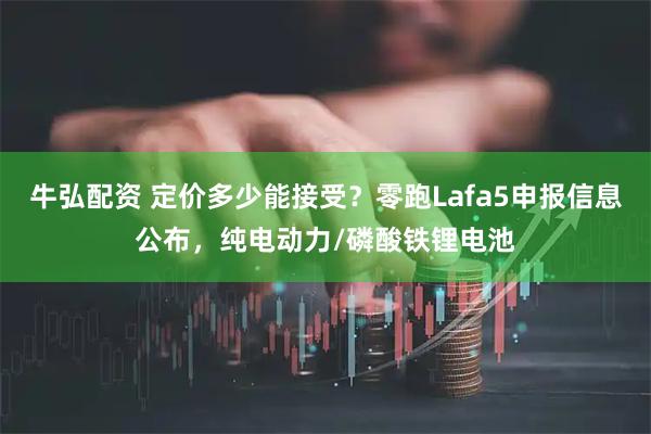 牛弘配资 定价多少能接受？零跑Lafa5申报信息公布，纯电动力/磷酸铁锂电池