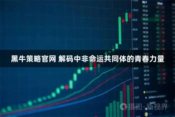 黑牛策略官网 解码中非命运共同体的青春力量