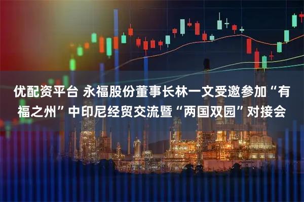 优配资平台 永福股份董事长林一文受邀参加“有福之州”中印尼经贸交流暨“两国双园”对接会