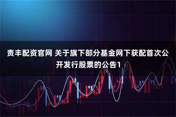 责丰配资官网 关于旗下部分基金网下获配首次公开发行股票的公告1