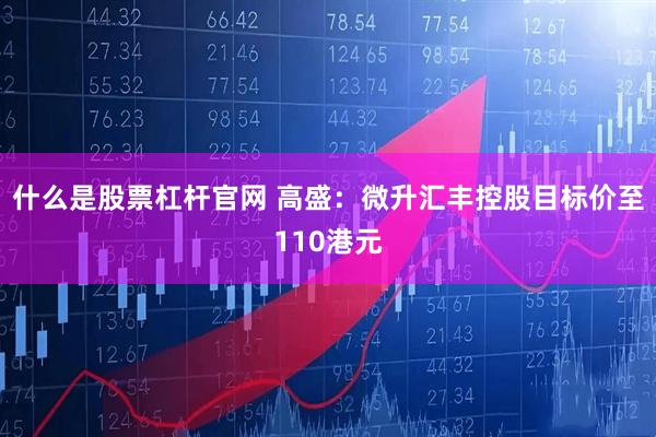 什么是股票杠杆官网 高盛：微升汇丰控股目标价至110港元